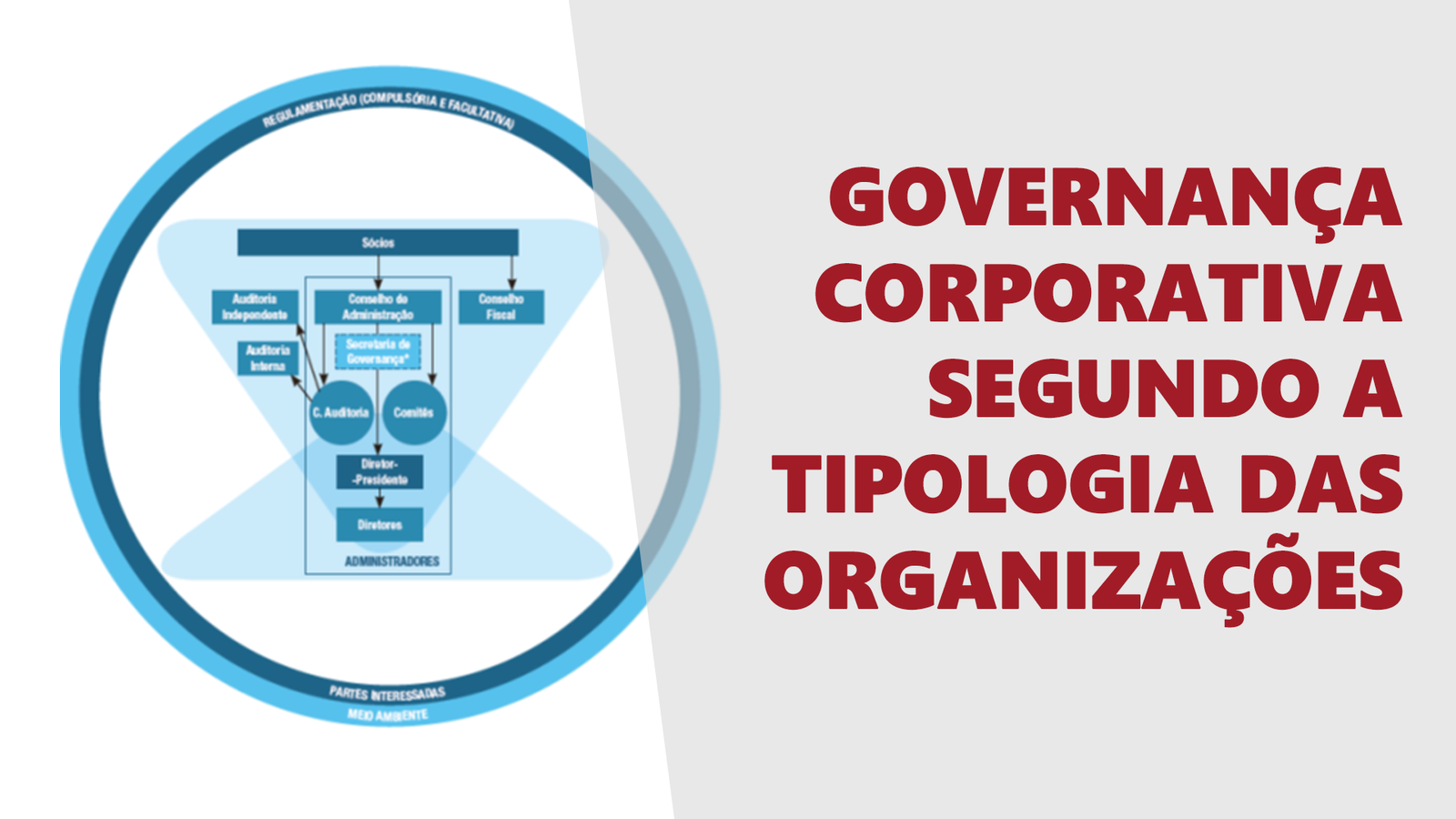 Governança Corporativa segundo a tipologia das organizações