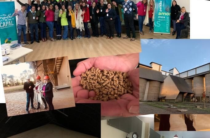 Governança Cooperativa e Agenda ESG na Capal – Arapoti (PR)