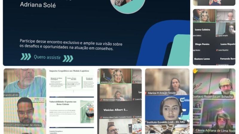 Programa de Desenvolvimento de Conselheiros – IEL/FIEMG: reflexões atuais e novos desafios