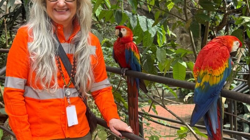 Vivenciando a agenda ESG: Bioparque Vale Amazônia e a conservação das onças